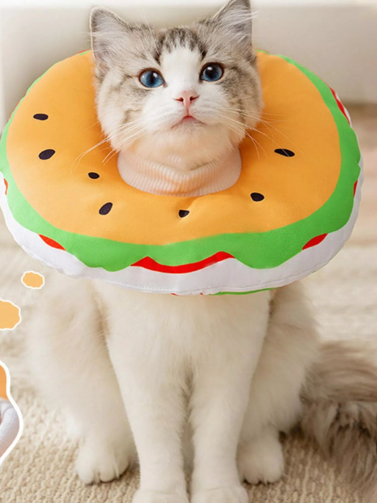 🐾 The Southern Paws Collection 🐾