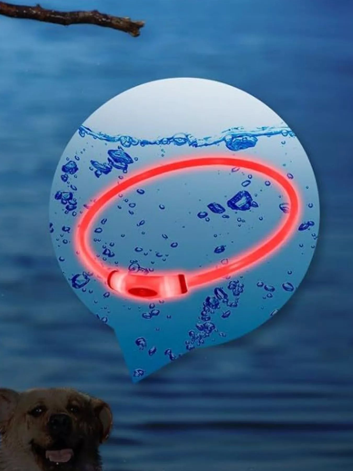 7db689f6-a49c-4ec7-a19e-80dc76c2bebd-Max-Origin